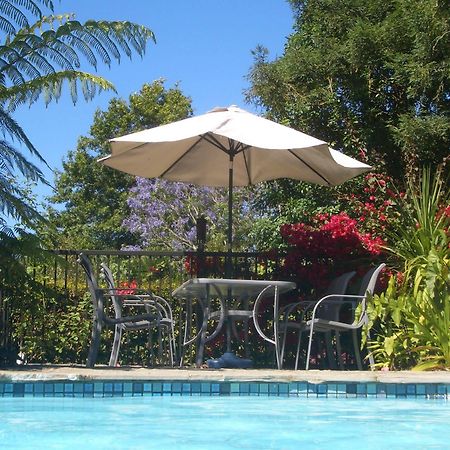 Pateke Lodge Kerikeri Exterior foto